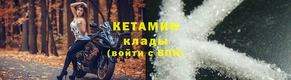 прущие грибы Тобольск