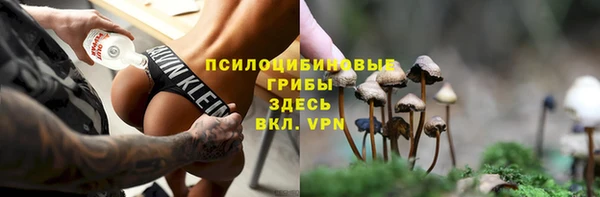 спайс Горнозаводск