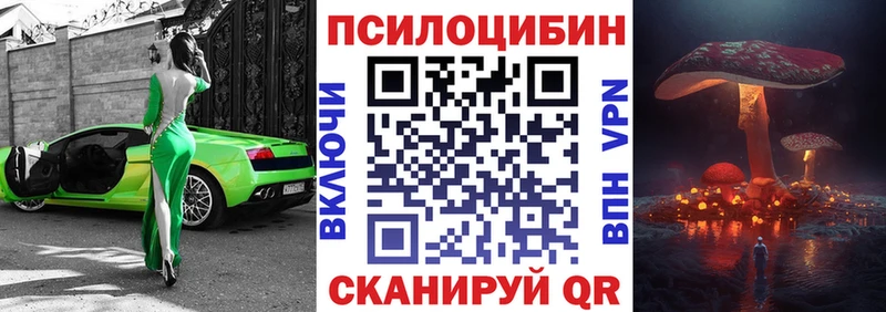сколько стоит  Петров Вал  мега сайт  Псилоцибиновые грибы мицелий 